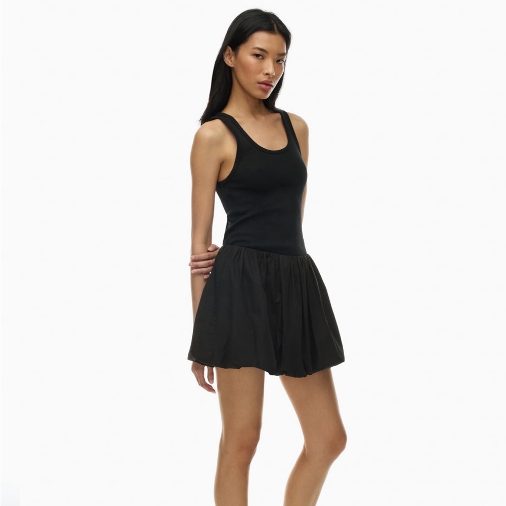 NWT Sunday Best Bubbly Mini Poplin Skirt (Aritzia)